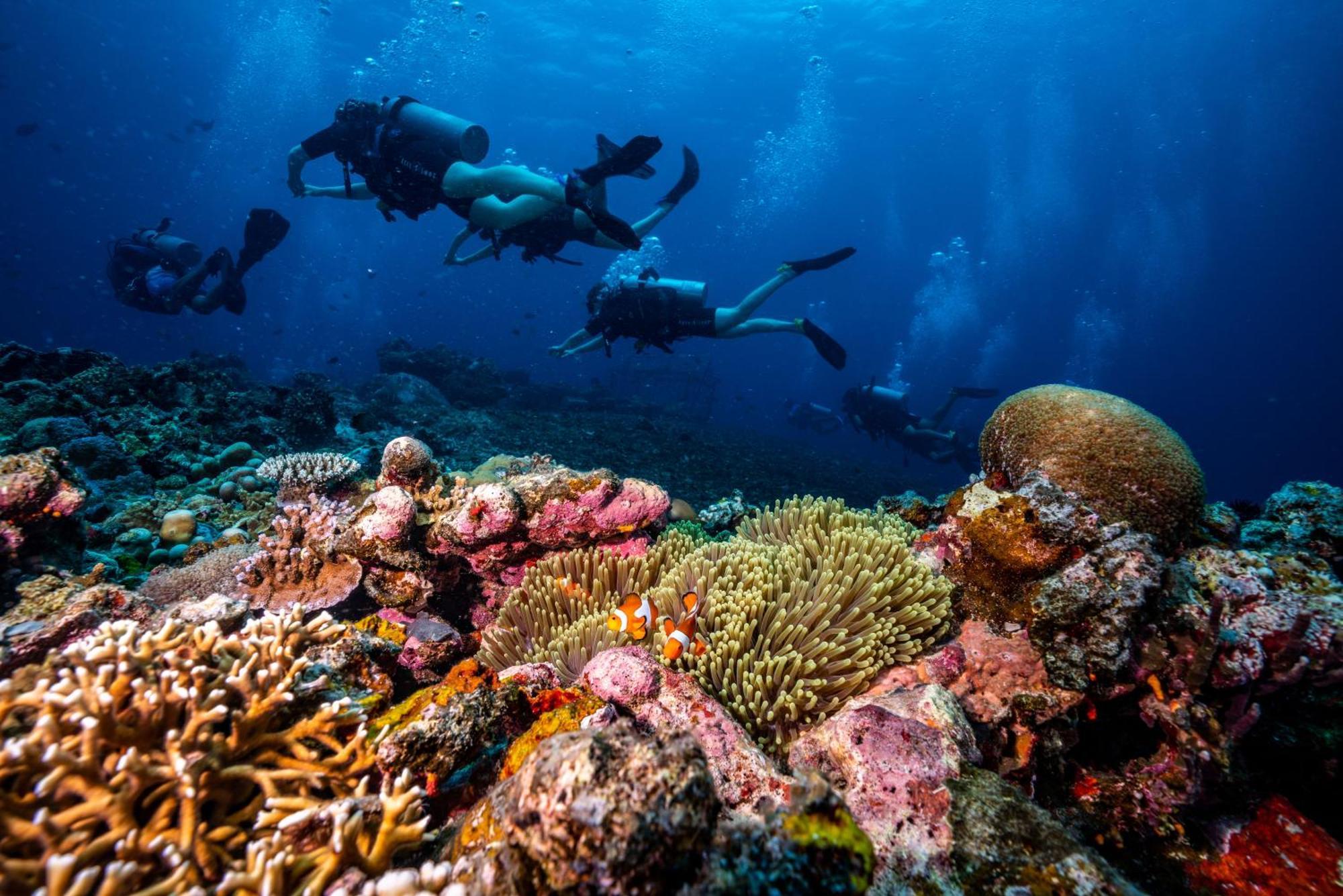 Trawangan Dive Resort Gili Trawangan Exterior foto